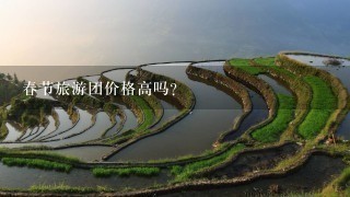 春节旅游团价格高吗？