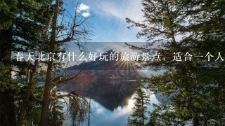 春天北京有什么好玩的旅游景点，适合1个人去的