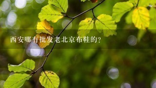 西安哪有批发老北京布鞋的？