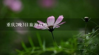 重庆2晚3日旅游攻略