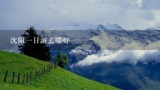 沈阳1日游去哪好