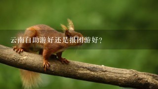 云南自助游好还是报团游好？