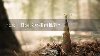 北京1日游攻略指南推荐？