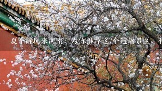 夏季游玩来河南，为你推荐这7个避暑景区，有山有水