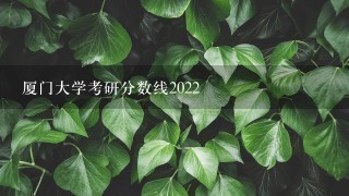 厦门大学考研分数线2022