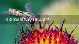 云南环球国际旅行社靠谱吗？