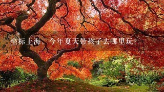 坐标上海，今年夏天带孩子去哪里玩？