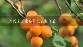 3月份去云南穿什么衣服合适