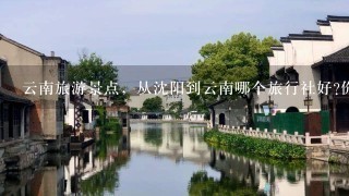 云南旅游景点，从沈阳到云南哪个旅行社好?价格大概多少?不要购物特别多的!