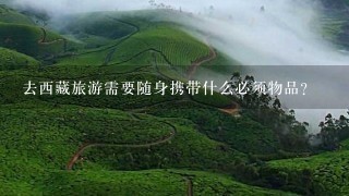 去西藏旅游需要随身携带什么必须物品？