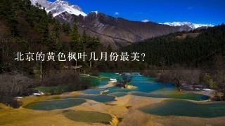 北京的黄色枫叶几月份最美?