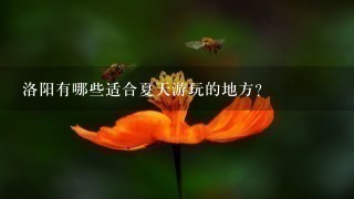 洛阳有哪些适合夏天游玩的地方？