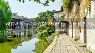 现在从哈尔滨去云南报旅游团，大概在多少钱的