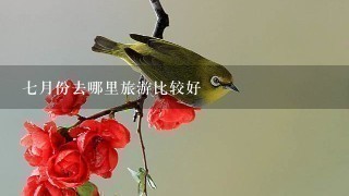 7月份去哪里旅游比较好