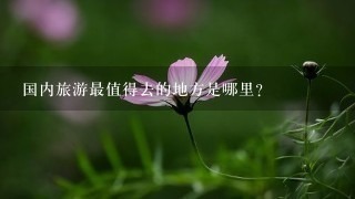 国内旅游最值得去的地方是哪里？