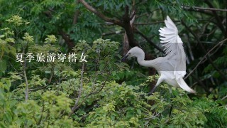 夏季旅游穿搭女