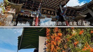 7月份去云南 求云南旅游的路线 及食宿各种 大致10天 求个好些的攻略