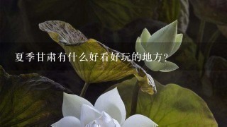 夏季甘肃有什么好看好玩的地方？