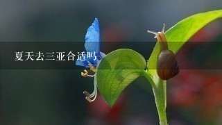 夏天去3亚合适吗