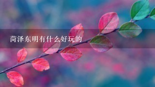 菏泽东明有什么好玩的