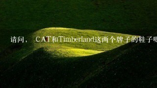 请问， CAT和Timberland这两个牌子的鞋子哪个比较适