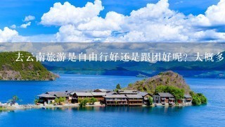 去云南旅游是自由行好还是跟团好呢？大概多少费用？