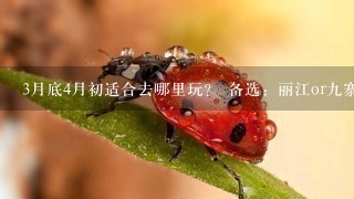 3月底4月初适合去哪里玩？ 备选：丽江or9寨？请详细说下，谢谢~~