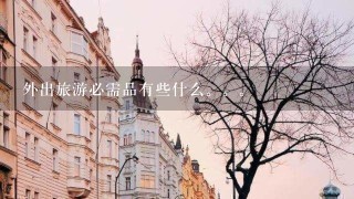 外出旅游必需品有些什么。。