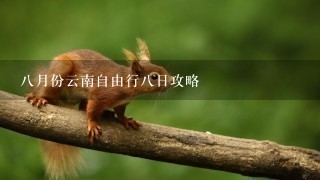 8月份云南自由行8日攻略