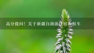 高分提问！关于新疆自助游住宿和租车