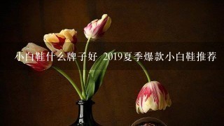 小白鞋什么牌子好 2019夏季爆款小白鞋推荐