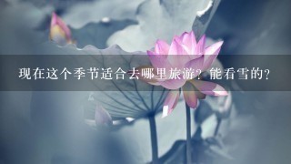 现在这个季节适合去哪里旅游？能看雪的？