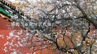 2月去3亚穿什么衣服