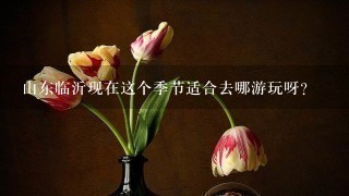 山东临沂现在这个季节适合去哪游玩呀？