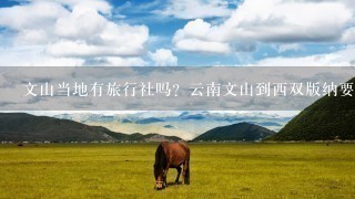 文山当地有旅行社吗？云南文山到西双版纳要多少钱？