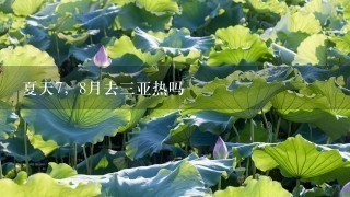 夏天7，8月去3亚热吗