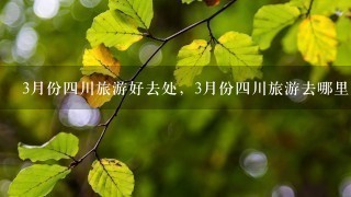 3月份4川旅游好去处，3月份4川旅游去哪里好