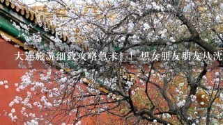 大连旅游细致攻略急求！！想女朋友朋友从沈阳到大连 3日游 求旅游攻略 具体的路线 价格计算越详细越好！！