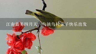 江南最美4月天，乌镇乌村亲子快乐出发