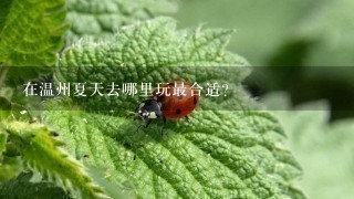 在温州夏天去哪里玩最合适？