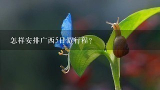 怎样安排广西5日游行程？