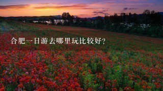 合肥1日游去哪里玩比较好？