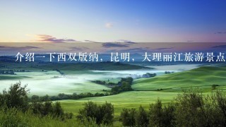 介绍1下西双版纳，昆明，大理丽江旅游景点，从昆明到大理和西双版纳坐汽车要多久？