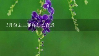 3月份去3亚穿什么合适