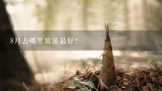 8月去哪里旅游最好？