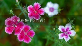 去3亚要准备什么东西?