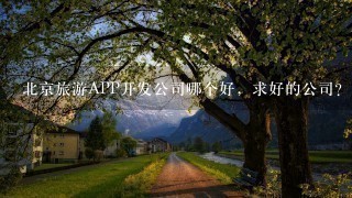 北京旅游APP开发公司哪个好，求好的公司？