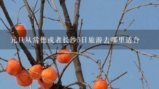 元旦从常德或者长沙3日旅游去哪里适合