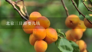 北京3日游要几钱