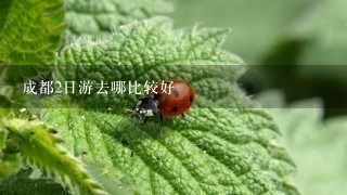 成都2日游去哪比较好